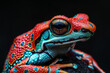 Vibrant Poison Dart Frog Close-Up Against Dark Background