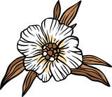Fototapeta Boho - White flower with leaves