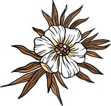 Fototapeta Kosmos - White flower with leaves