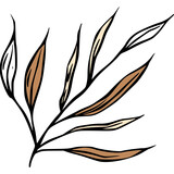 Fototapeta Kosmos -  Leaves sketch branch, vintage line art vector