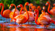 Flamingos gathered at water's edge