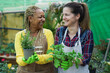 Multiracial mature women smiling and having fun in front of camera during working day inside garden greenhouse - Harvest and plant nursery