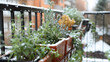 A balcony herb garden in the snow showing hardy herbs like rosemary and thyme enduring the winter months symbolizing resilience.