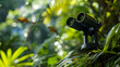 © Finn - A birdwatching expedition in a lush rainforest with binoculars focused on exotic birds perched in the canopy.