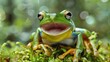 Portrait a happy gliding frog sitting on green moss at rainforest. AI generated image