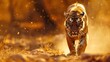 Portrait wild male tiger walking in the savanna at golden summer scene. AI generated image