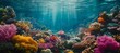 Coral Kingdom: Pristine Reef Teeming with Life