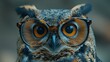 Owl Wearing Glasses Close-Up