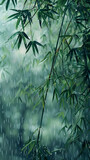 Fototapeta Sypialnia - Close up of a bamboo twig in the rain, part of the terrestrial plant landscape