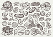 Different types of nuts detailed icons, nut kernels and shells
