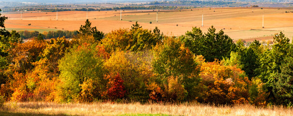 Wall Mural - Beauty autumn panorama of colorful trees, fields, and meadows