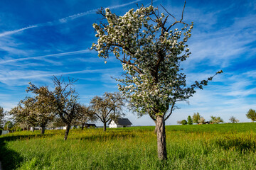 Canvas Print - Neubaugebiet am Ortsrand