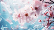 Cherry blossoms in bloom, symbolizing renewal and hope. Flowers with broken ice. Elegant pink petals in ice. Frosty natural winter or spring background