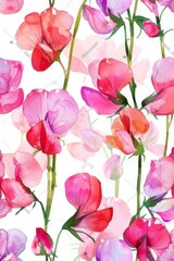 Wall Mural - watercolor illustration of pink sweet pea flowers on white background, summer botanical vertical pattern for background, wallpaper, fabric and textile