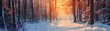 panoramic view 32:9 landscape sun behind pine trees full of snow in winter in high resolution and quality