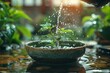 A young mint plant flourishing under a gentle pour of water in a serene garden setting with a Zen-like atmosphere