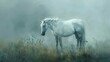 Solitary white horse, oil painting style, misty morning, ethereal beauty, soft whites, peaceful solitude.