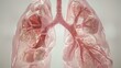 3D visualization of lungs breathing, showcasing respiratory health and function, soft tones, fine details, high resolution, high detail, 32K Ultra HD, copyspace, watercolor hand drawn