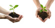 Collection of hand grasping plant sprout, Isolated on Transparent Background, PNG