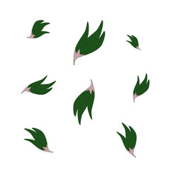 Wall Mural - set of green leaves