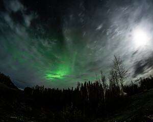 Wall Mural - Aurora in Alaska