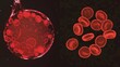 A splitscreen comparison of a healthy and sickleshaped red cell showcasing the drastic change in shape and structure.