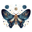 Beautiful butterfly with ornamental wings and stars. Vector illustration.