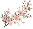 Sakura cherry branch pastel