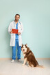 Veterinarian with cute Husky dog near blue wall