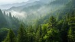 A mountain forest rejuvenation project beginning on Earth Day, a new start