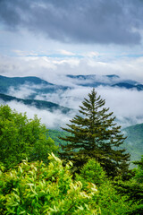 Canvas Print - Smokies overlook