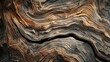 Rough abstract textures like wood grain and stone, representing reliability and enduring love. 