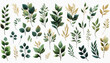 A watercolor floral illustration set featuring green and gold leaf branches, ideal for use in wedding stationary, greeting card design, wallpapers, fashion