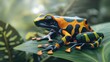 Close view of a colorful poison dart frog on a leaf
