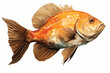 Fish. Taxidermy fish isolated on white. Exotic fish stuffed and mounted on a white background. Room for text. Clipping Path. Sport fishing trophies of exotic fish. Right pointing trophies.