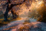 Fototapeta  - Camino cubierto de pétalos con árboles en flor, bañado por la luz dorada del atardecer