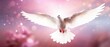 A soft pink background with an amazing white dove flying over Earth