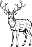 Fototapeta Sypialnia - Deer clipart design illustration