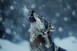 Portrait of a wolf howling in the snow in winter forest