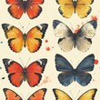 Pattern set of butterflies isolated 