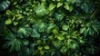 © visoot - From above, the ground is covered with tropical green leaves. Generative AI.