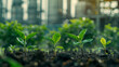 young plant growing in soil with blur industry factory background. environmental conservation and sustainable development concept