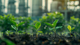 Fototapeta Do przedpokoju - young plant growing in soil with blur industry factory background. environmental conservation and sustainable development concept