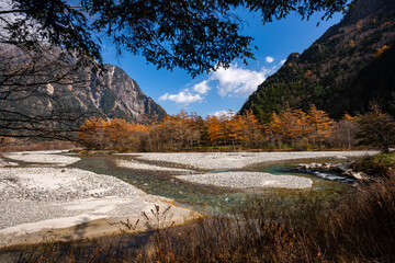 Wall Mural - experience the vibrant colors of autumn in japan: exploring the majestic forests and gardens of kyot