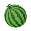 Fresh fruit watermelon cartoon vector isolated illustration