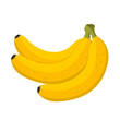 Fresh fruit a bunch of banana cartoon vector isolated illustration