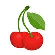 Fresh fruit cherry cartoon vector isolated illustration