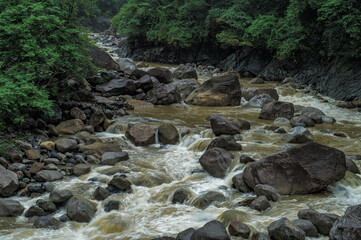 Meghalaya's Monsoon Magic: Living Bridges, Milky Way, Waterfalls, Flora and Fauna