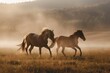 Two horses running together in a field