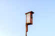 Starling sitting in a birdhouse close-up against blue sky background.. Birdhouse in the village at sunset. Spring starlings have flown to nest in birdhouses made by people